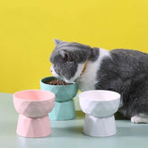 KUTKUT 2Pcs Ceramic Cat Food or Water Bowl, Raised Cat Feeder Dishes with Stand, Elevated Pet Food Bowl for Cats and Small Dogs (Pack of 2 (Oval Mint Green)) - kutkutstyle